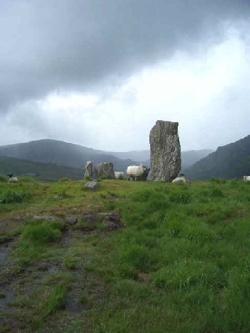 Diese frei umherziehenden Schafe suchen im Steinkreis Schutz vor dem aufkommenden Gewitter.